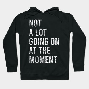 not a lot going on at the moment Hoodie